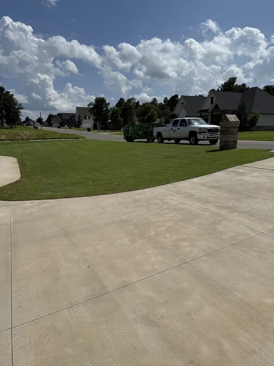 Residential turf inspected for lawn health and insect pressure